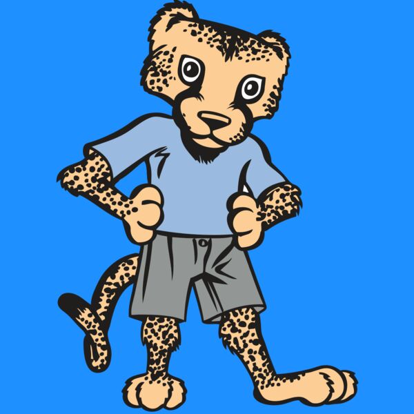 BAW CHEETAH 03 RC Thumbnail