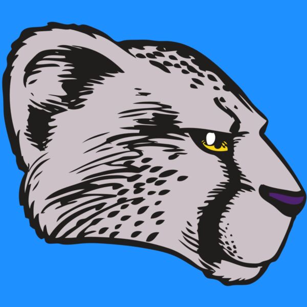 BAW CHEETAH 20 RC Thumbnail