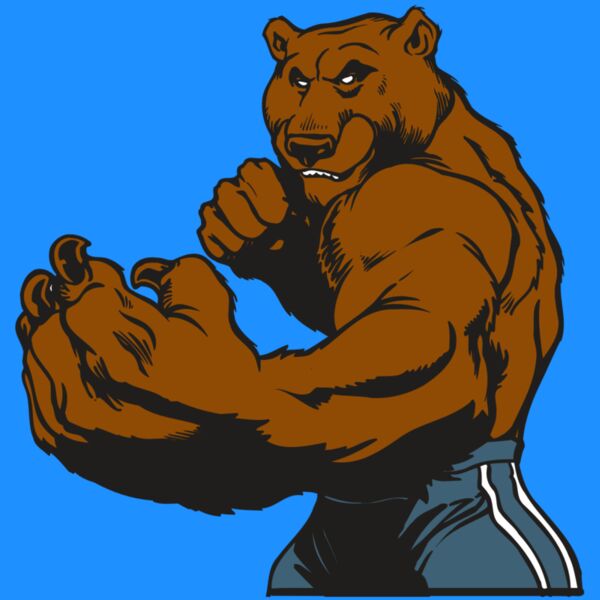 AR BEAR 31 RC Thumbnail