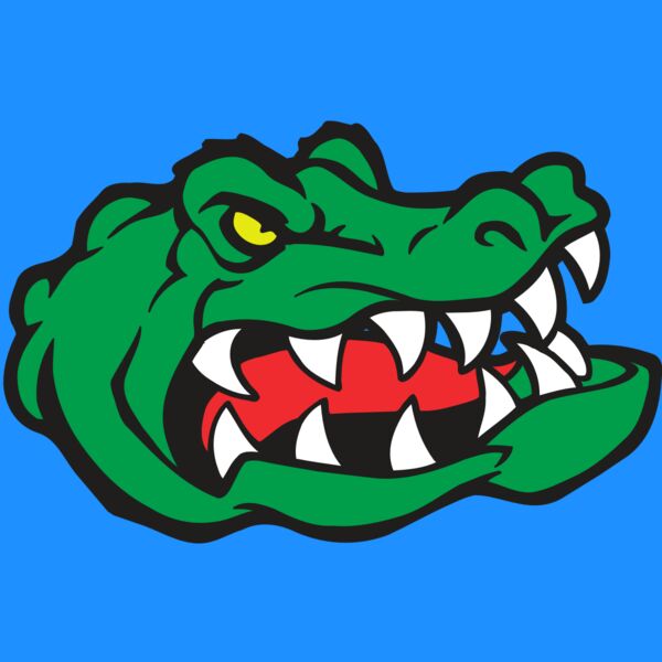 AR GATOR 19 RQC Thumbnail