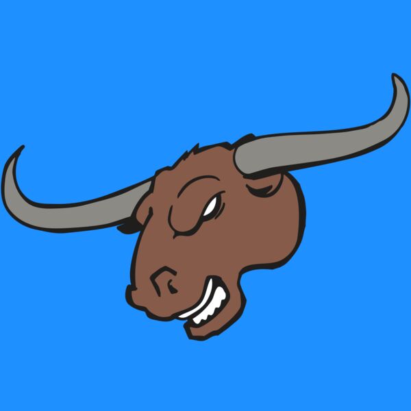 AR BULL 10 RC Thumbnail