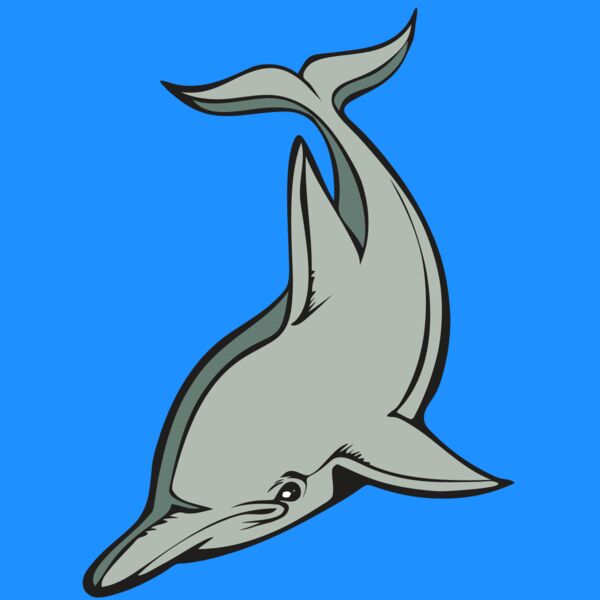 BAW DOLPHIN 01 RC Thumbnail