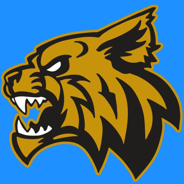 AR WILDCAT 16 RC Thumbnail