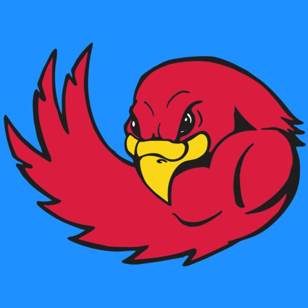 AR FALCON 18 RC Thumbnail