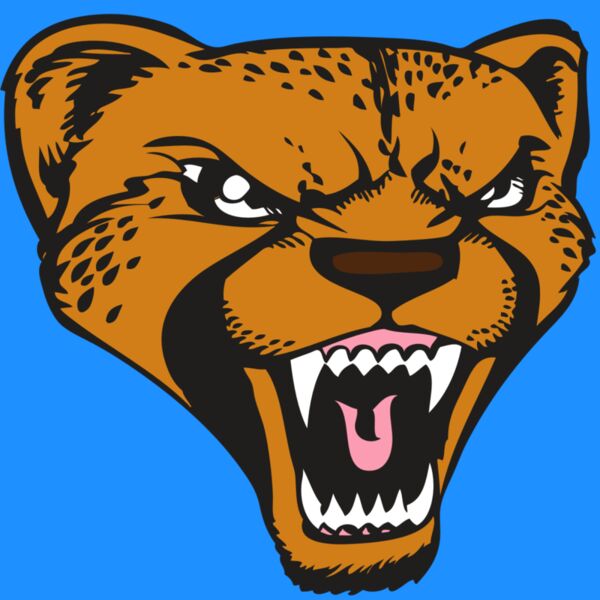 BAW CHEETAH 12 RC Thumbnail