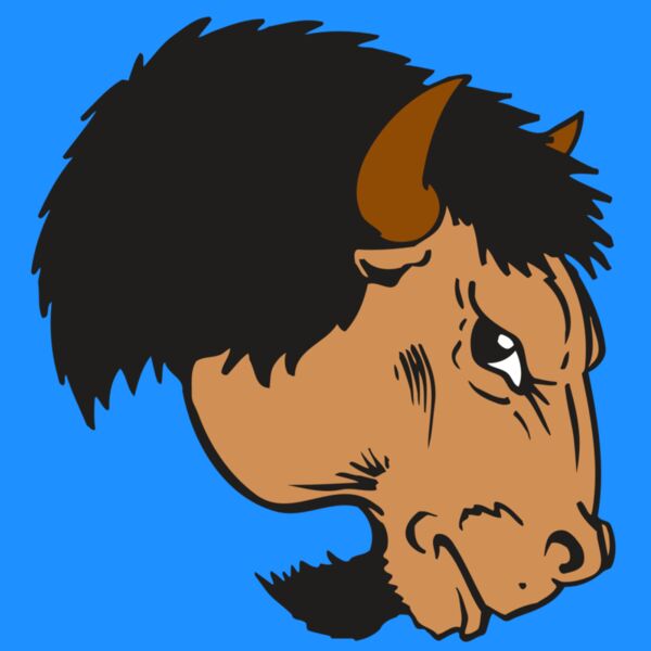 AR BUFFALO 16 RC Thumbnail