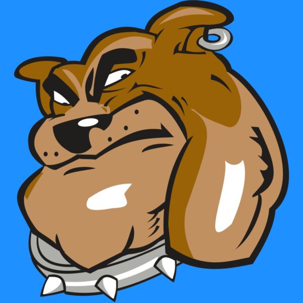 BULLDOG HD0501 RQC Thumbnail