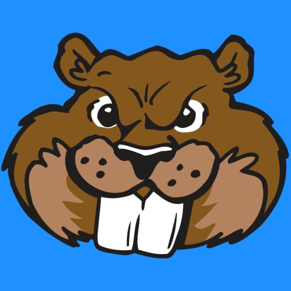 AR BEAVER 10 RC Thumbnail