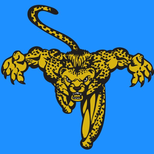 BAW CHEETAH 08 RC Thumbnail