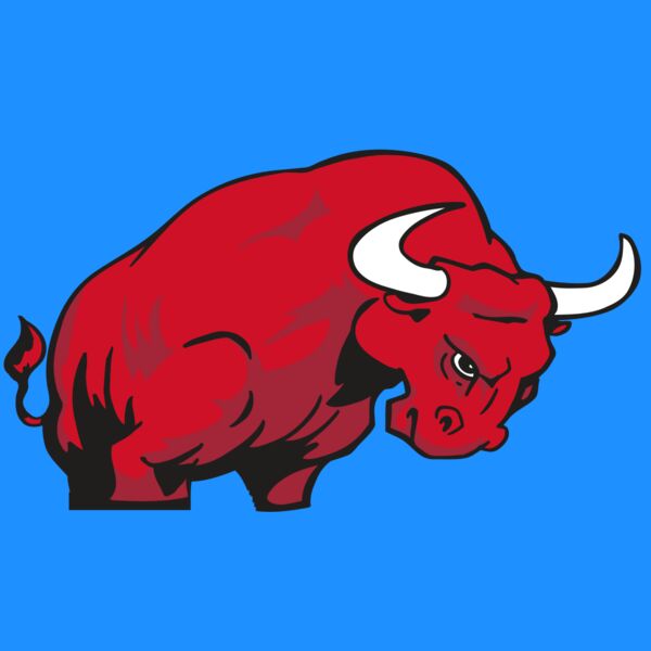 AR BULL 12 RC Thumbnail