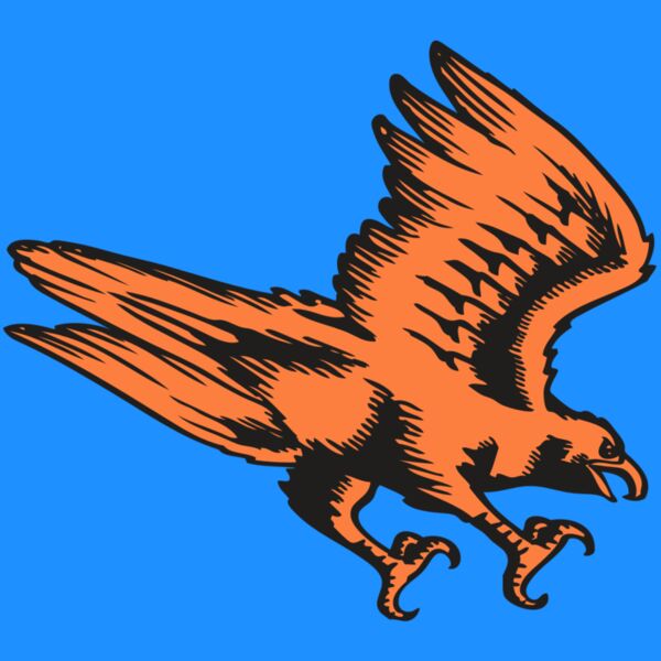 BAW HWK FLCN 04 RC Thumbnail