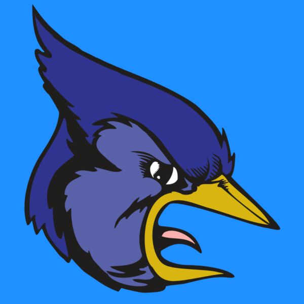 BAW BLUEJAY 04 RC Thumbnail