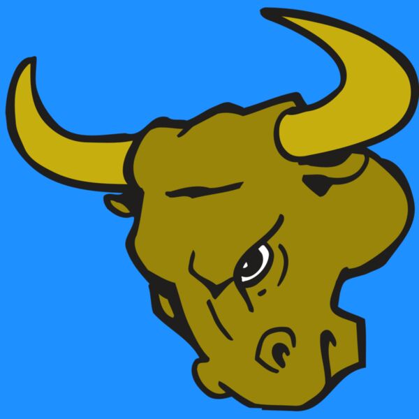 AR BULL 26 RC Thumbnail