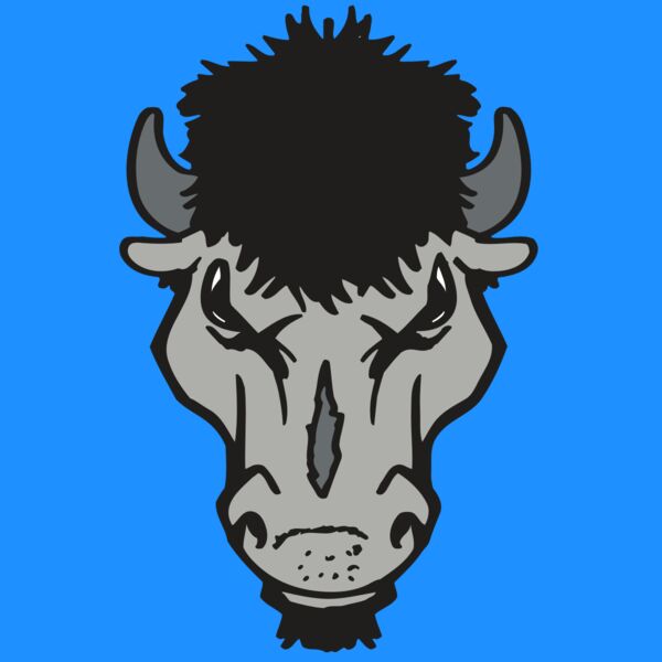 AR BUFFALO 15 RC Thumbnail