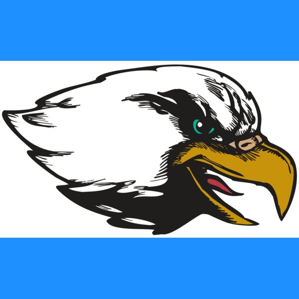 BAW EAG 09 RC Thumbnail