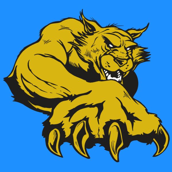 AR WILDCAT 26 RC Thumbnail