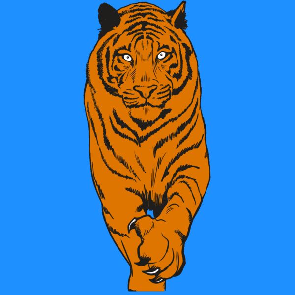 AR4 TIGER 08 RQC Thumbnail