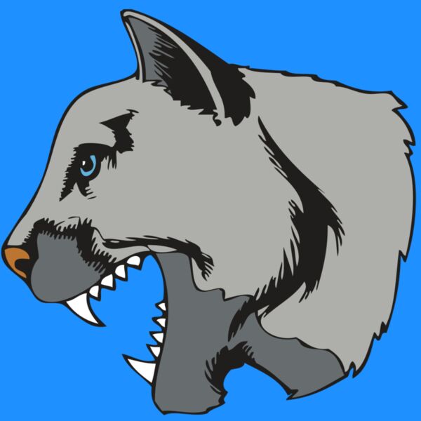 BAW COUG PANTH 15 R Thumbnail