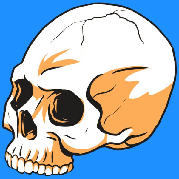 AR24 SKULL 13 RQC Thumbnail