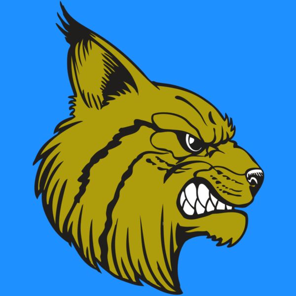 BAW BOBCAT 16 RC Thumbnail