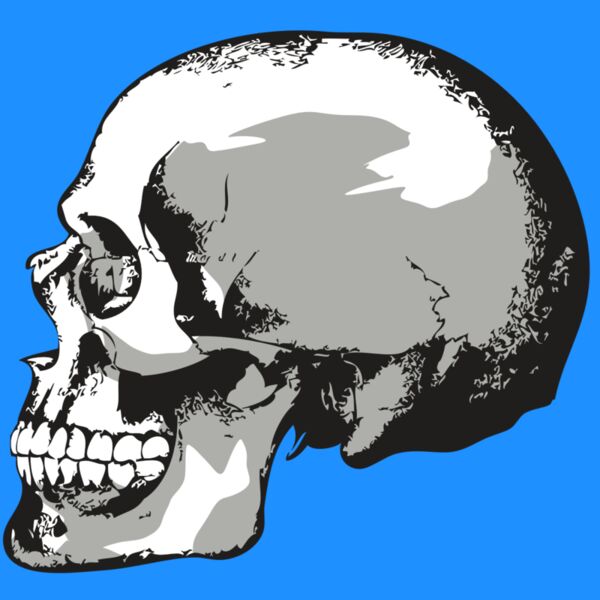 AR24 SKULL 02 RQC Thumbnail