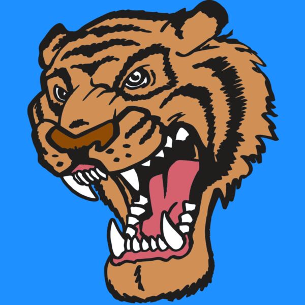 AR TIGER 12 RC Thumbnail