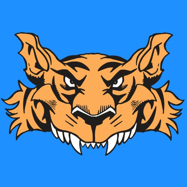 AR5 Tiger 07 RQC Thumbnail