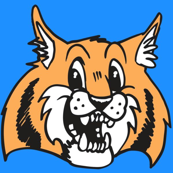 AR WILDCAT 13 RC Thumbnail