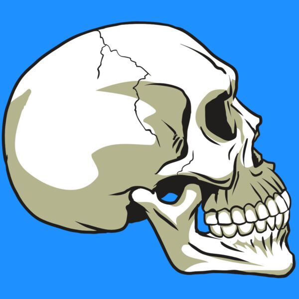 AR24 SKULL 12 RQC Thumbnail