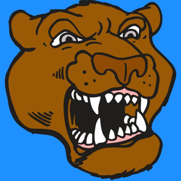 AR5 COUGAR 29 RQC Thumbnail