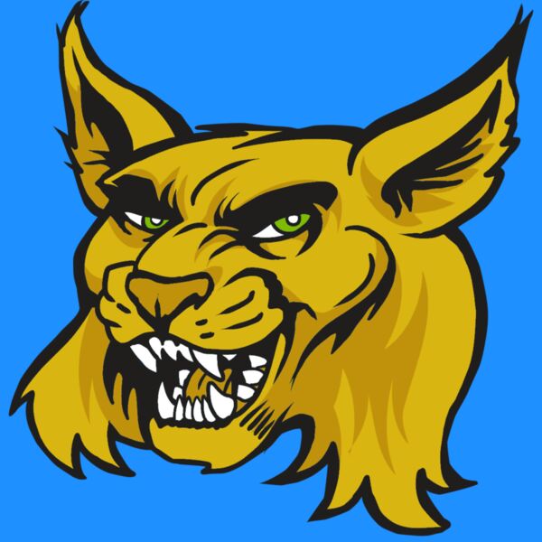 AR30 WILDCAT 03 RQC Thumbnail