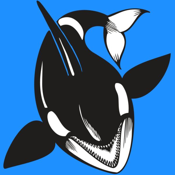 BAW KLRWHALE 01 RC Thumbnail