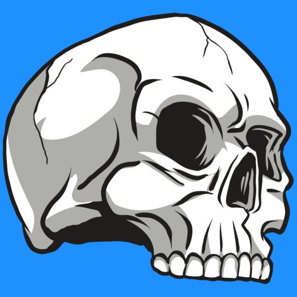 AR24 SKULL 10 RQC Thumbnail