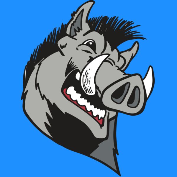 AR RAZORBACK 15 RC Thumbnail