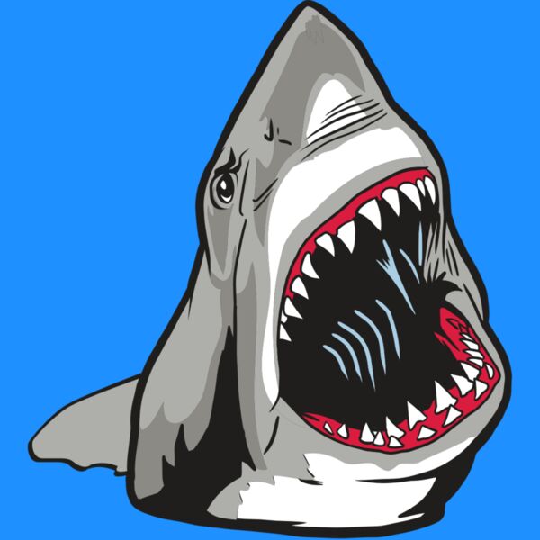 AR20 SHARK 45 RQC Thumbnail