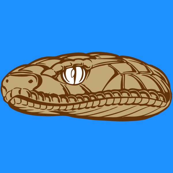 BAW SNAKE 12 RC Thumbnail