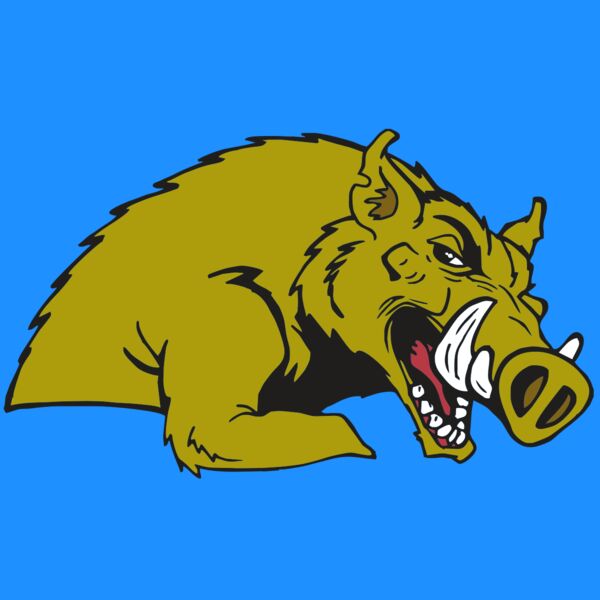 AR RAZORBACK 23 RC Thumbnail