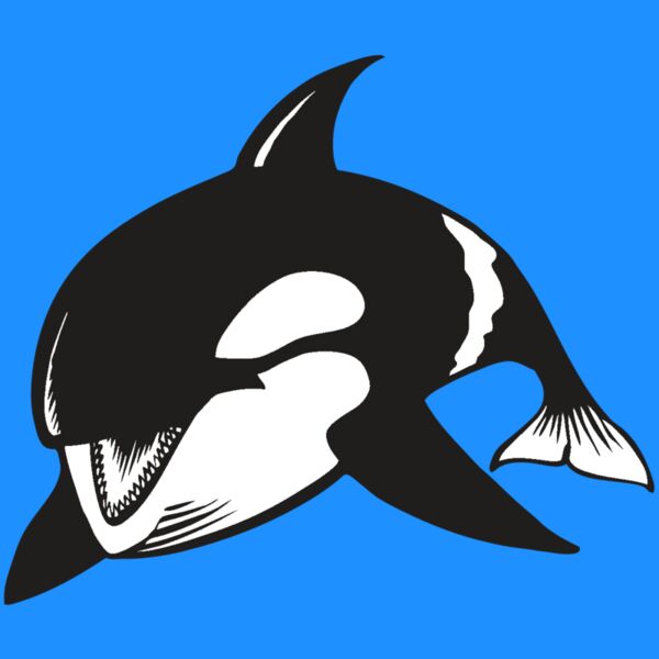 BAW KLRWHALE 04 RC Thumbnail