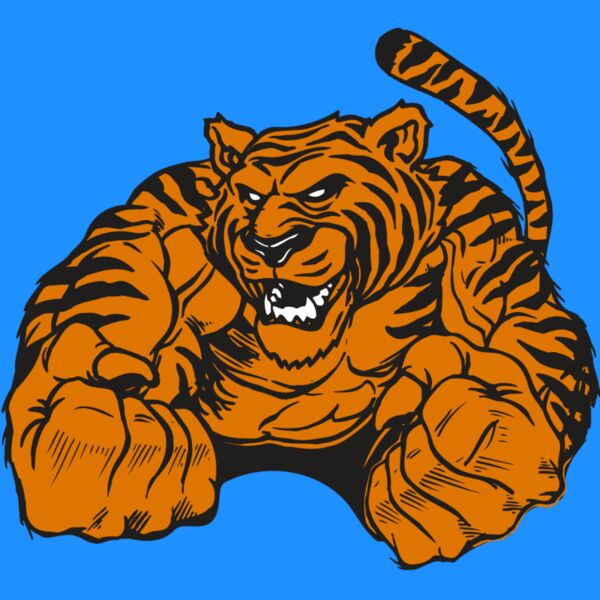 AR TIGER 55 RC Thumbnail