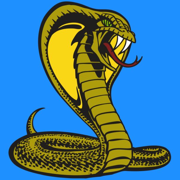 BAW SNAKE 02 RC Thumbnail