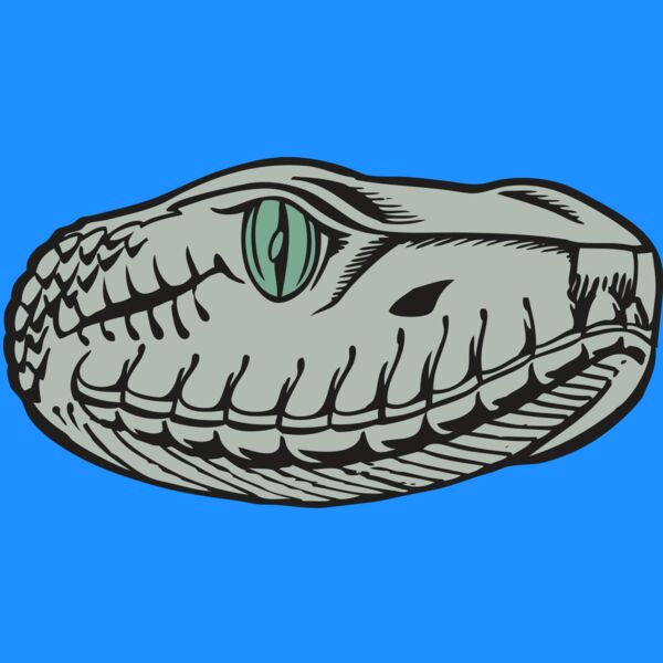 BAW SNAKE 10 RC Thumbnail