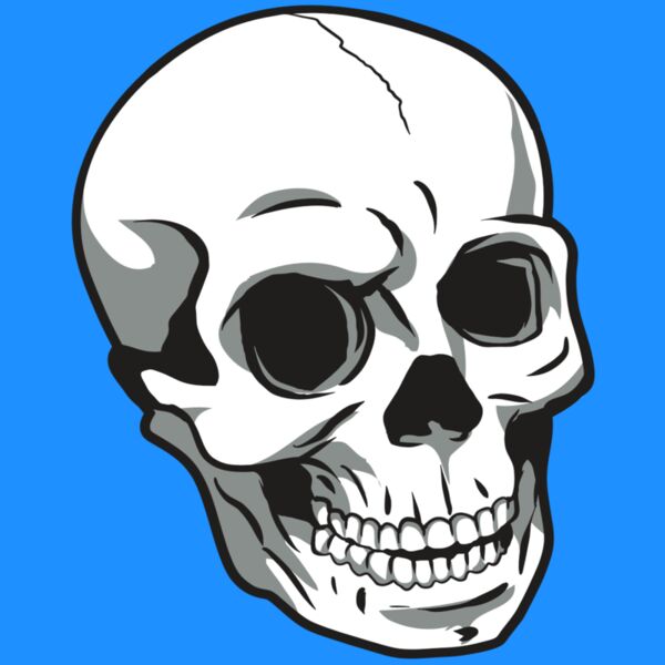 AR24 SKULL 14 RQC Thumbnail