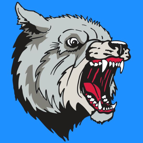 AR WOLF 38 RC Thumbnail