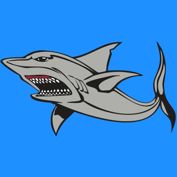 BAW SHARK 03 RC Thumbnail