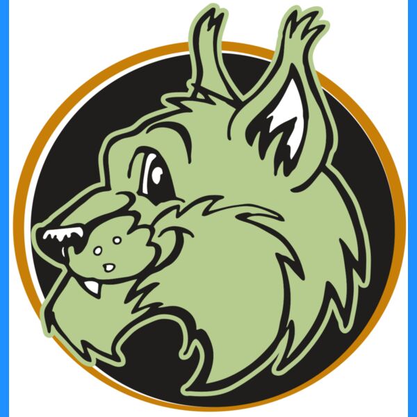 AR WILDCAT 17 RC Thumbnail