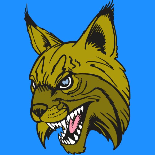 BAW BOBCAT 05 RC Thumbnail