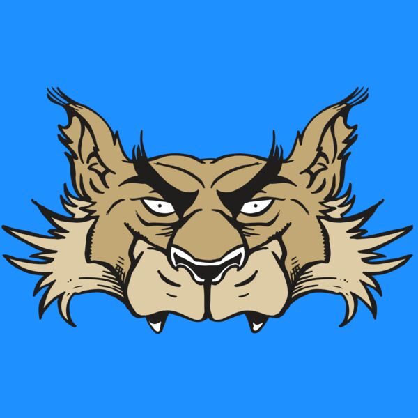 AR5 Wolf 28 RQC Thumbnail