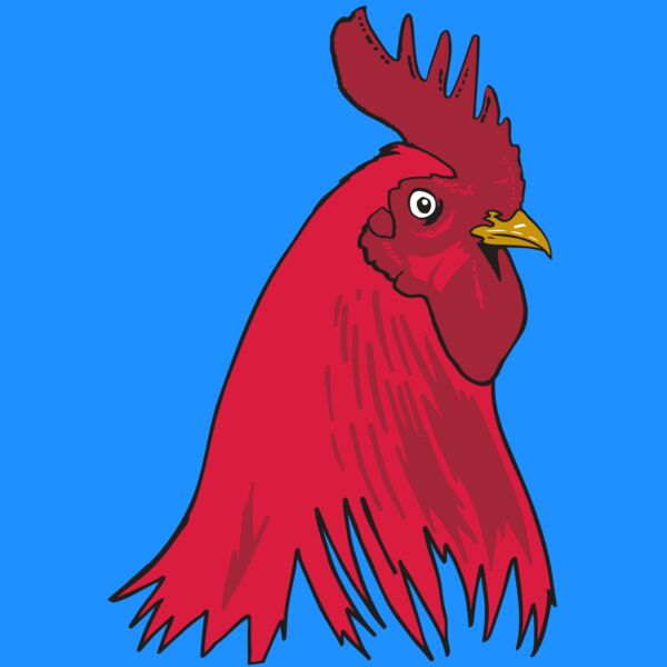 AR OTHER 19 RC Thumbnail