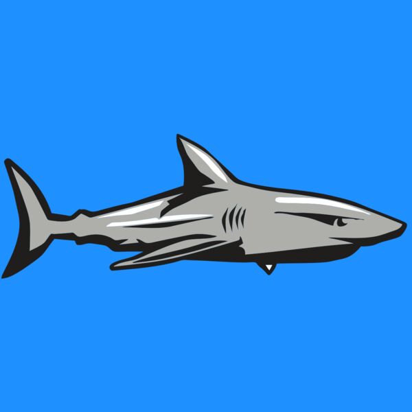 AR9 SHARK 01 RQC Thumbnail