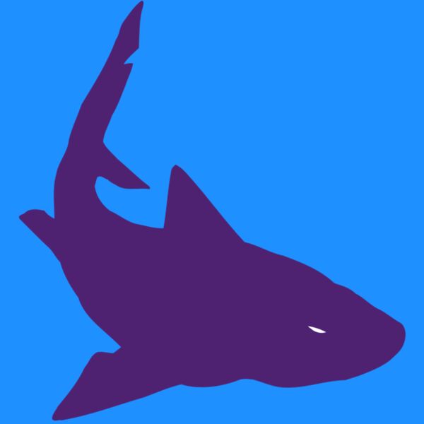 AR5 Shark 05 RQC Thumbnail